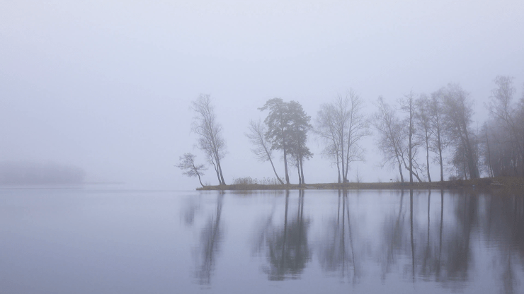 autumn-landscape-gloomy-misty-forest-lake-panning_vj_13sgbe__F0000